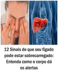 12 Sinais de que seu fígado pode estar sobrecarregado: Entenda como o corpo dá os alertas