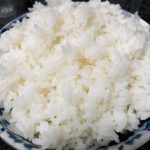 Arroz requentado em destaque