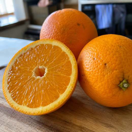 Laranja em destaque
