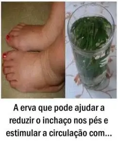 A erva que pode ajudar a reduzir o inchaço nos pés e estimular a circulação