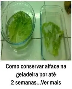 Como conservar alface na geladeira por até 2 semanas