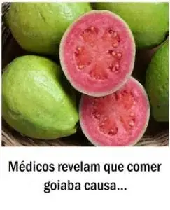 Conheça os benefícios de comer goiaba, é surpreendente as várias maneiras de consumi-la
