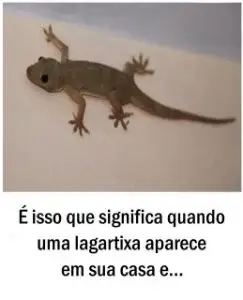 É isso que significa quando uma lagartixa aparece em sua casa