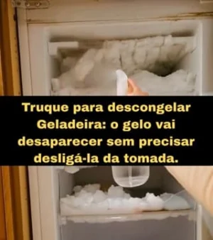 Truque Para Descongelar Geladeira Sem Desligar da Tomada